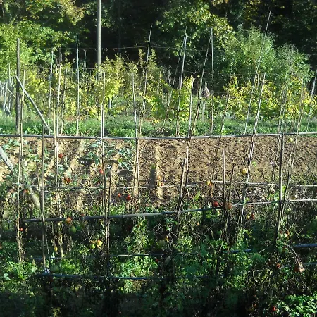 Mamma Chica Farm stay