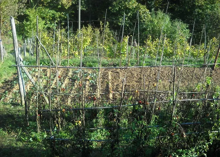 Mamma Chica Farm stay